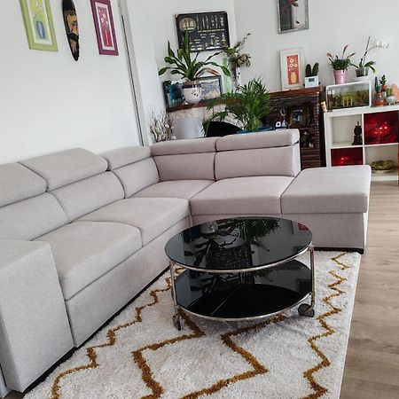 Chambre Chez Habitant 1 Carbon-Blanc ภายนอก รูปภาพ